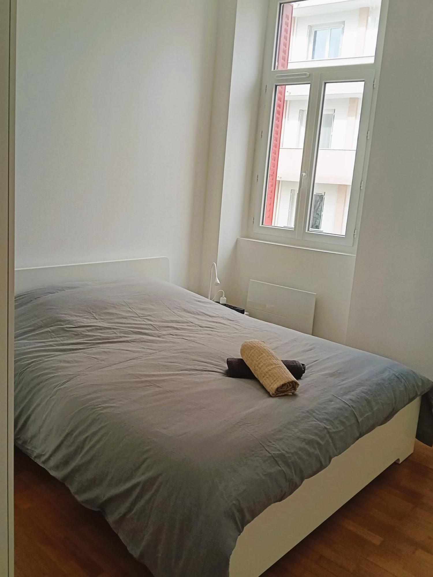 101 - Appart Renove Avec 1 Chambre Spacieuse - Tram Et Clinique Mutualiste A 1 Min Γκρενόμπλ Εξωτερικό φωτογραφία